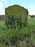 image of grave number 126469